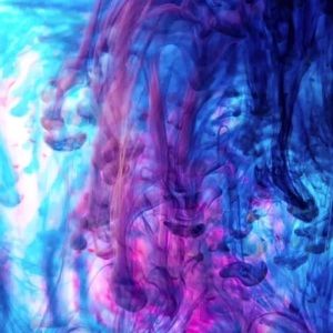 Meet your Posher, Daiyonne